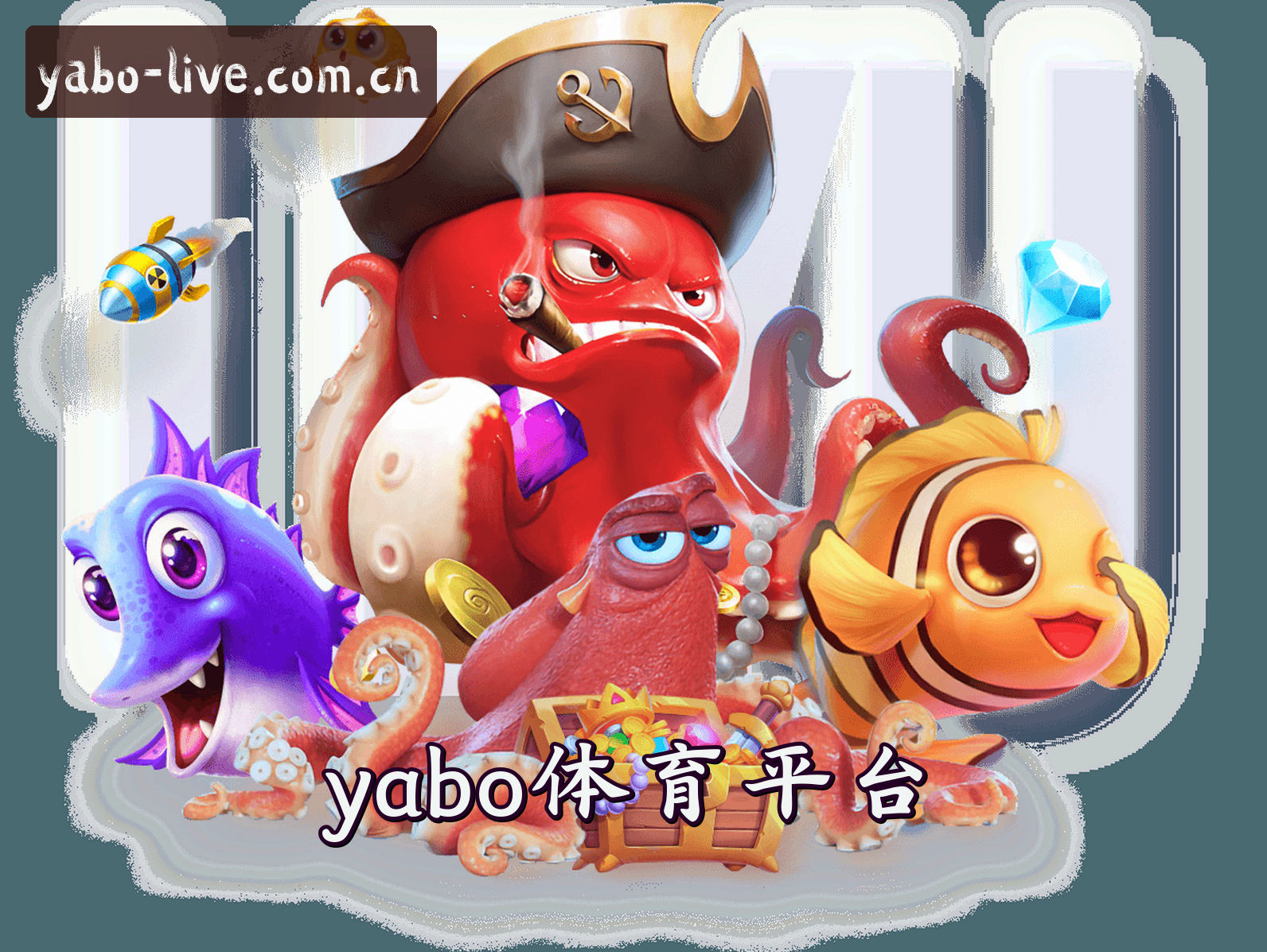 关于我们